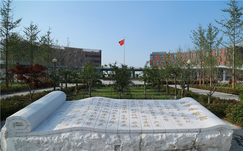 示范区文明办组织开展清扫积雪志愿服务活动